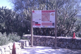Promouen la reactivació d'El Camí a les Illes