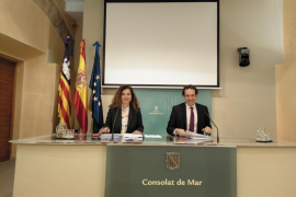 Autoritzen la contractació de 15 embarcacions per vigilar la posidònia a l'estiu