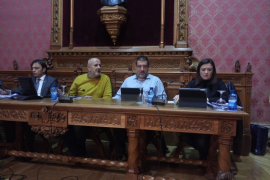 El Consell aprova la zonificació provisional del lloguer turístic de Mallorca