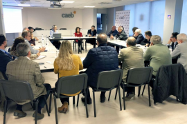Els membres de la CAEB durant la reunió sobre el Passeig Marítim de Palma.