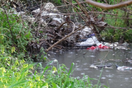 El GOB denuncia el greu problema dels plàstics que acaben a la mar