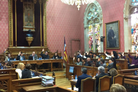 El PSIB critica el «doble discurs» del PP per votar al Consell a favor d'augmentar el descompte aeri