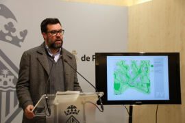 Cort invertirà 60 milions d'euros en el manteniment i millora dels parcs i jardins