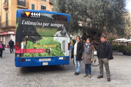 Dos busos de l'EMT difondran una campanya contra l'abandó d'animals de companyia