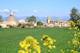 S'aprova la urgència d'expropiar els terrenys pertinents per fer la variant d'Algaida