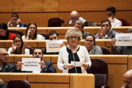 Esquerra Republicana defensa la llibertat de Valtonyc en el Senat espanyol