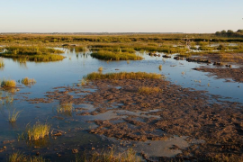 El GOB recorda a ASAJA que l'Albufera de València no ha rebutjat l'agricultura