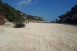 El GOB denuncia la destrucció d'una duna a Cala Llombards