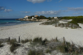 El Govern crea 13 noves places per a la vigilància i control dels espais naturals