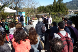 El Jardí Botànic prsenta el projecte europeu de conservació de flores insulars