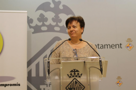 Cort concertarà 54 places del servei d'acollida de famílies vulnerables