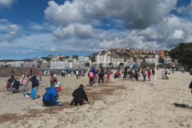 Retiren 67 quilos de residus de la platja de Santa Ponça 