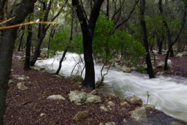 Brollen les Fonts Ufanes després de les pluges dels darrers dies