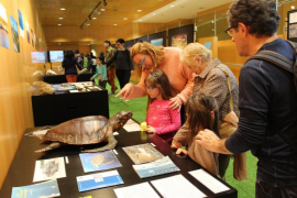 Èxit de les activitats del Museu de Ciències Naturals de Sóller al Cosmocaixa de Barcelona
