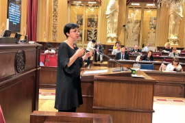 El Parlament demana que els contractes «no tenguin diferenciació de gènere»