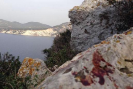 El partit animalista PACMA va publicar imatges de cossos i restes de sang de les cabres d'Es Vedrà