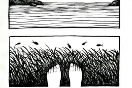 Logotip de la Plataforma Salvem Portocolom