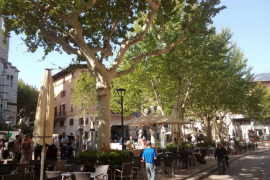 La Vila destina 25.000 euros a llevar i substituir arbres morts