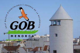 El GOB demana decisions al Consell de Menorca sobre les estructures de Rafal Rubí i L'Argentina