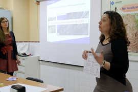 El Govern i la UIB demanen col·laboració ciutadana per controlar la població de vespa asiàtica