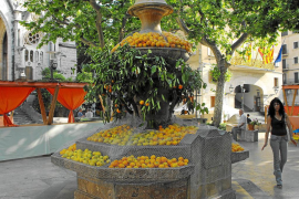 Jornades de la taronja