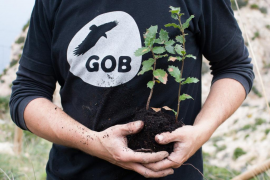 Habtur, el Consell i AENA, entre els candidats als premis Ciment del GOB