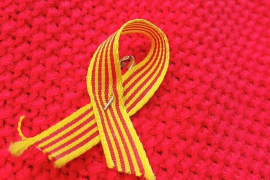 El sindicat STEI fa costat als ajuntament de Pollença i Capdepera en la defensa de la llengua catalana.