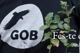 El GOB demana al Consell que retiri l'actual projecte d'acessos del Coll d'en Rabassa