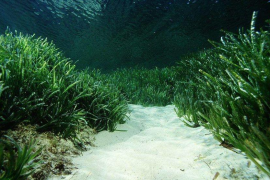 Mar Blava convoca un acte «massiu» per entregar les al·legacions contra el projecte MedSalt-2