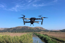 El GOB insta Medi Ambient a regular adequadament el vol d’aeronaus als espais naturals protegits