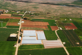 Aprovat l'avantprojecte de la Llei Agrària, que crea 'agroestàncies' i zones d'alt valor agrari