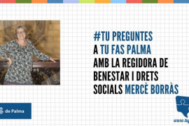 La regidora de Benestar i Drets Socials de Cort se sotmet a una entrevista col·lectiva en línia