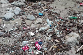 Plàstics, bosses i llaunes s'acumulen a la platja de Can Pere Antoni 