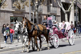 EUIB considera una «vergonya inadmissible» la demora de Cort amb la regulació de les galeres