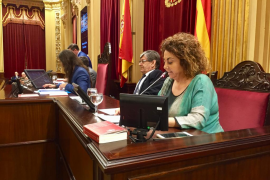 El Parlament demana a les institucions que actuïn per a salvar les abelles
