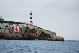 Salvem Portocolom denuncia que les administracions «es passen la pilota de la protecció de la posidònia»