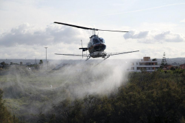 Cort comença les fumigacions aèries per prevenir la proliferació de mosquits