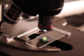 La UIB celebra aquest juny el seu IX Campus Cientificotècnic d'Estiu