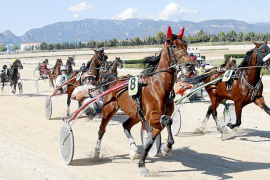 MÉS vol l'equiparació pressupostària de les curses de trot i galop.