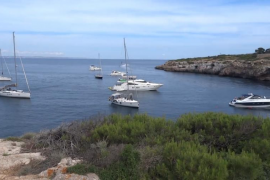 Comença l’estiu sense decret de protecció de posidònia