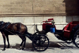 EUIB acusa Cort d'estar «mans plegades» davant el sofriment dels cavalls de les galeres