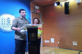 Ferrà: «L’Estat ha d’adreçar-se a la ciutadania de les Balears i donar informació del REB»