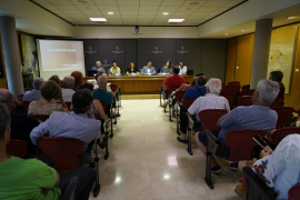 Calvià iniciarà els treballs d'exhumació de la fossa del municipi la pròxima tardor