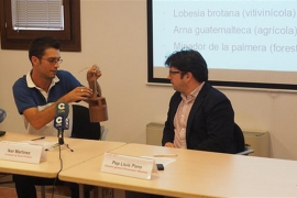 Un menorquí dissenya una trampa biodegradable pel control de plagues d'insectes