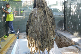 Emaya sol·licita que l'etiquetatge de les tovalloletes «indiqui clarament» que no es poden tirar pel vàter