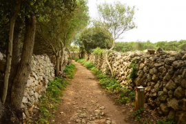 El Consell adjudica la conservació i manteniment del Camí de Cavalls a la Fundació de Persones amb Discapacitat