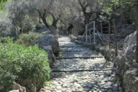 El Barranc de Biniaraix.