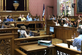 El Consell de Mallorca aprova el Pla d'Intervenció en Àmbits Turístics (PIAT)