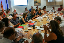 Aprovat el traspàs de les polítiques de Joventut del Govern al Conselle de Mallorca