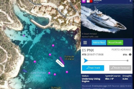 El GOB fa balanç de les dades recollides al juliol sobre el fondeig damunt posidònia